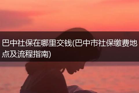 巴中社保在哪里交钱(巴中市社保缴费地点及流程指南)