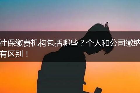 社保缴费机构包括哪些？个人和公司缴纳有区别！