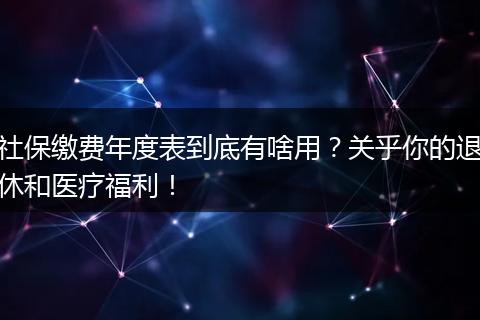 社保缴费年度表到底有啥用？关乎你的退休和医疗福利！