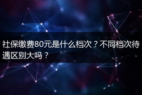 社保缴费80元是什么档次？不同档次待遇区别大吗？