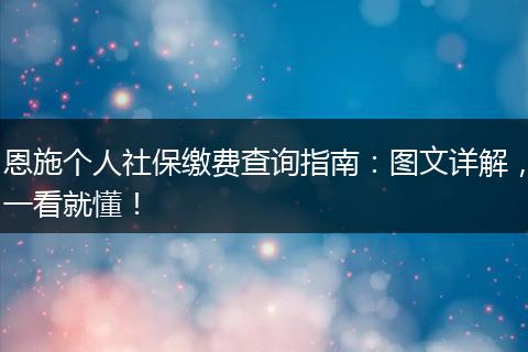 恩施个人社保缴费查询指南：图文详解，一看就懂！