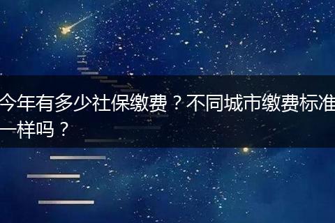 今年有多少社保缴费？不同城市缴费标准一样吗？