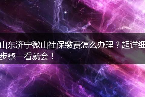 山东济宁微山社保缴费怎么办理？超详细步骤一看就会！