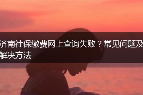 济南社保缴费网上查询失败？常见问题及解决方法