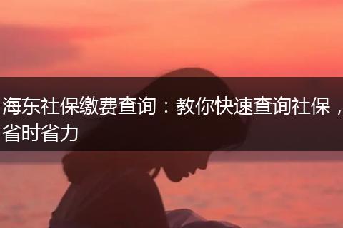 海东社保缴费查询：教你快速查询社保，省时省力