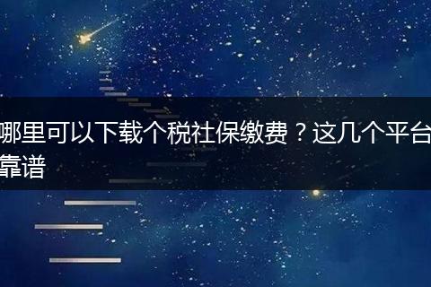 哪里可以下载个税社保缴费？这几个平台靠谱