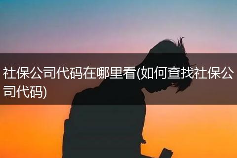 社保公司代码在哪里看(如何查找社保公司代码)