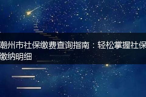 潮州市社保缴费查询指南：轻松掌握社保缴纳明细