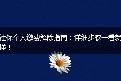 社保个人缴费解除指南：详细步骤一看就懂！