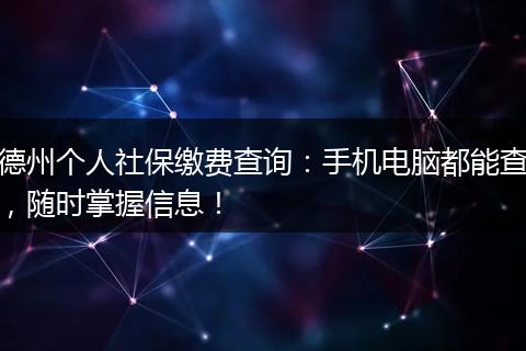 德州个人社保缴费查询：手机电脑都能查，随时掌握信息！