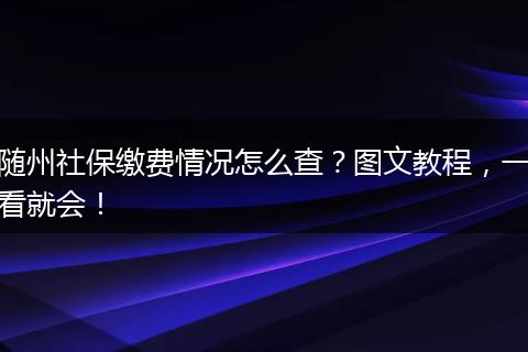随州社保缴费情况怎么查？图文教程，一看就会！