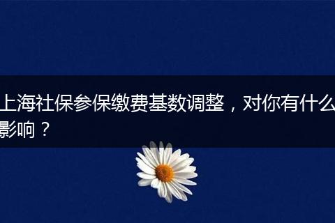 上海社保参保缴费基数调整，对你有什么影响？