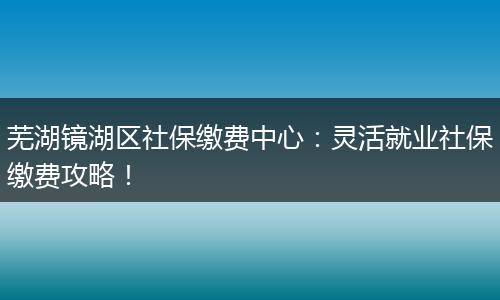 芜湖镜湖区社保缴费中心：灵活就业社保缴费攻略！