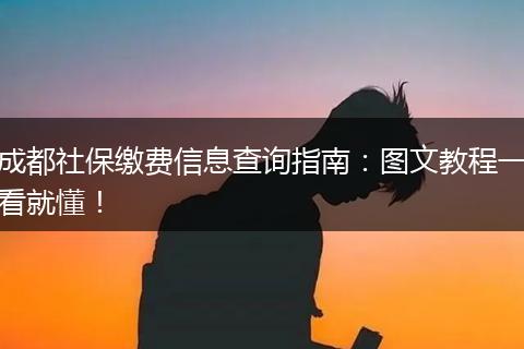 成都社保缴费信息查询指南：图文教程一看就懂！