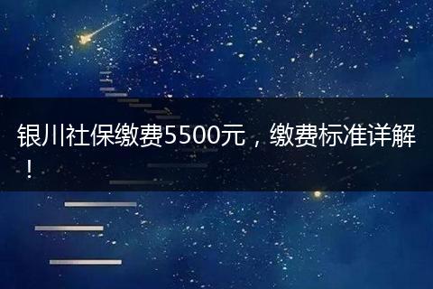 银川社保缴费5500元，缴费标准详解！