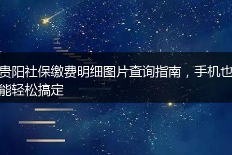贵阳社保缴费明细图片查询指南，手机也能轻松搞定