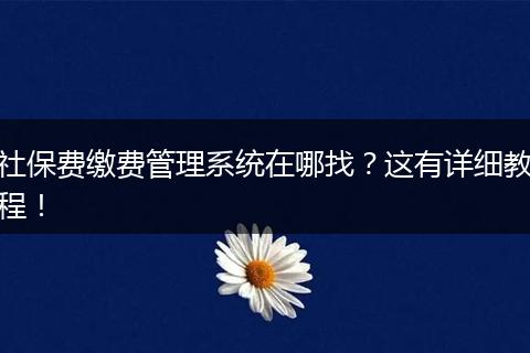 社保费缴费管理系统在哪找？这有详细教程！