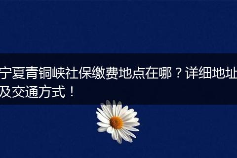 宁夏青铜峡社保缴费地点在哪?详细地址及交通方式!