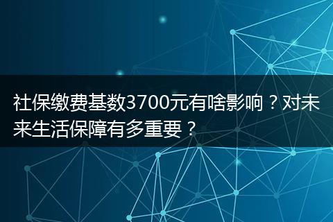 社保缴费基数3700元有啥影响？对未来生活保障有多重要？