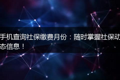 手机查询社保缴费月份：随时掌握社保动态信息！
