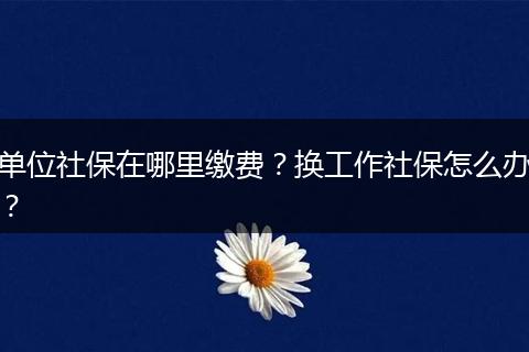 单位社保在哪里缴费？换工作社保怎么办？