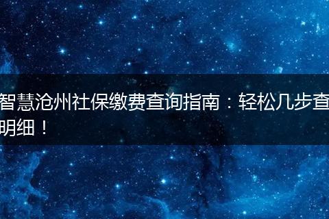 智慧沧州社保缴费查询指南:轻松几步查明细!
