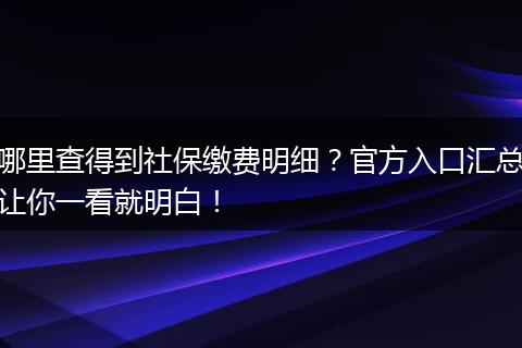 哪里查得到社保缴费明细?官方入口汇总让你一看就明白!