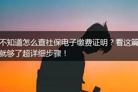 不知道怎么查社保电子缴费证明？看这篇就够了超详细步骤！