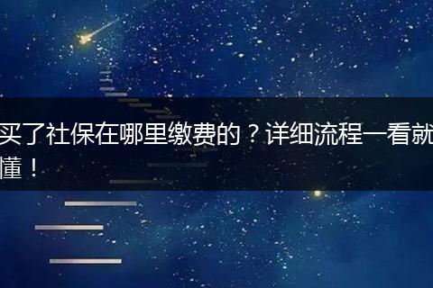 买了社保在哪里缴费的?详细流程一看就懂!