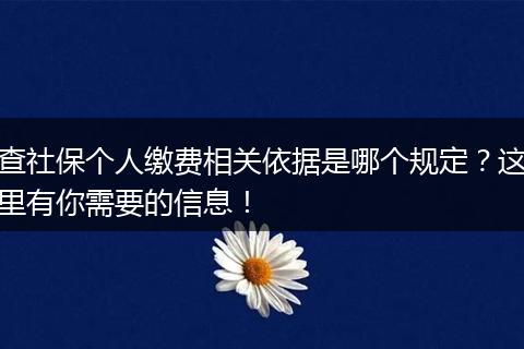 查社保个人缴费相关依据是哪个规定?这里有你需要的信息!