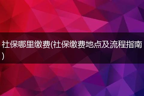 社保哪里缴费(社保缴费地点及流程指南)