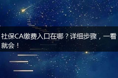 社保CA缴费入口在哪？详细步骤，一看就会！