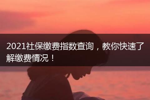 2021社保缴费指数查询,教你快速了解缴费情况!