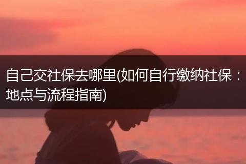 自己交社保去哪里(如何自行缴纳社保:地点与流程指南)