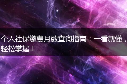 个人社保缴费月数查询指南：一看就懂，轻松掌握！