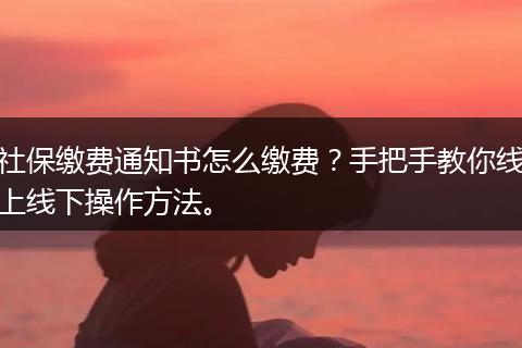 社保缴费通知书怎么缴费？手把手教你线上线下操作方法。