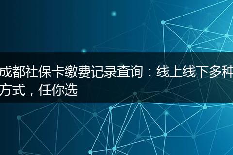 成都社保卡缴费记录查询:线上线下多种方式,任你选