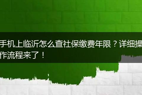 手机上临沂怎么查社保缴费年限?详细操作流程来了!