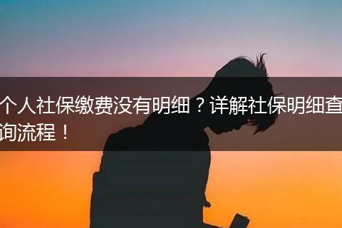 个人社保缴费没有明细?详解社保明细查询流程!