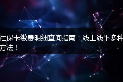 社保卡缴费明细查询指南：线上线下多种方法！