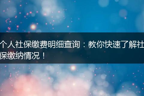 个人社保缴费明细查询：教你快速了解社保缴纳情况！