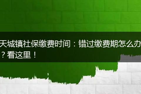天城镇社保缴费时间:错过缴费期怎么办?看这里!