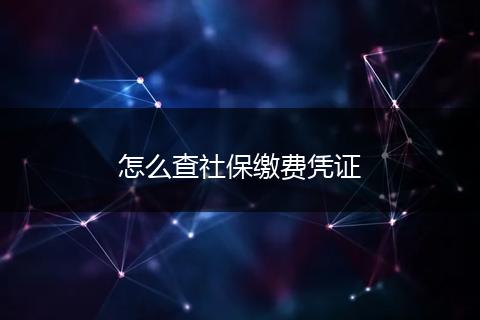 怎么查社保缴费凭证