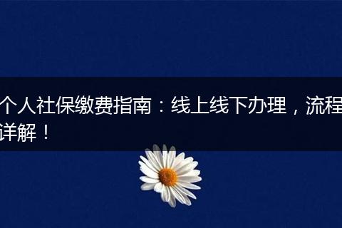 个人社保缴费指南：线上线下办理，流程详解！