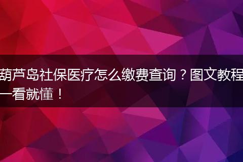 葫芦岛社保医疗怎么缴费查询？图文教程一看就懂！