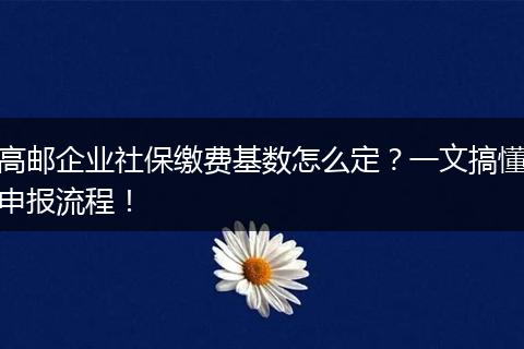 高邮企业社保缴费基数怎么定？一文搞懂申报流程！