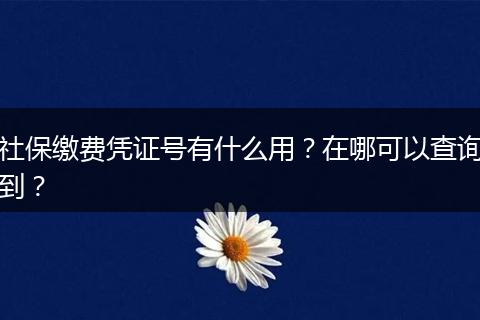 社保缴费凭证号有什么用?在哪可以查询到?