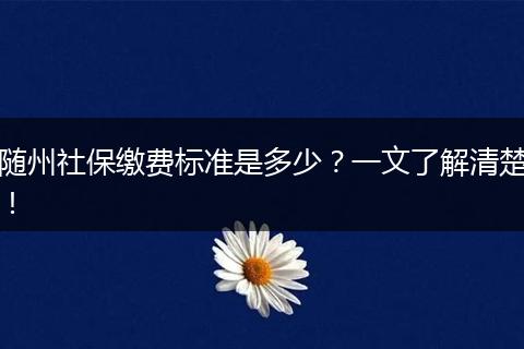 随州社保缴费标准是多少？一文了解清楚！