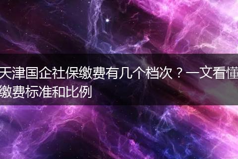 天津国企社保缴费有几个档次?一文看懂缴费标准和比例