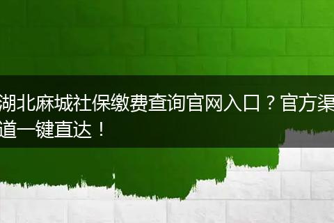 湖北麻城社保缴费查询官网入口？官方渠道一键直达！